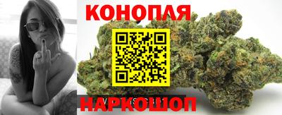 бошки Будённовск