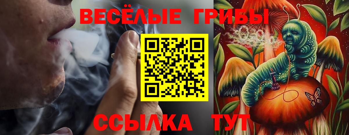 Гашиш  A-PVP СК кристаллы  Мегион  Вход с VPN  Меф МЯУ МЯУ кристаллы  Конопля  Кокаин 